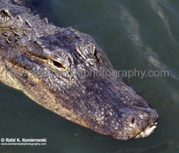 Everglades National Park, Long Pine Key area