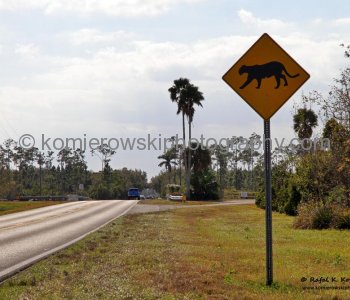 Everglades National Park, Florida