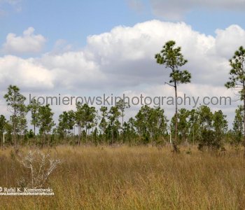 Everglades National Park, Florida
