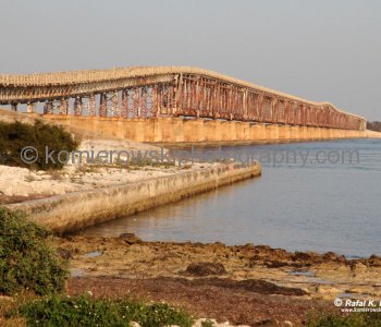 Construction of the highway began in the late 1930s. Its foundation included some of the original railway spans as well as the coral bedrock of individual keys and specially constructed columns.
