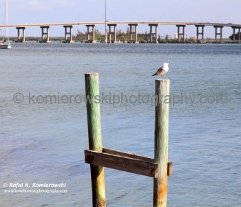 From Fort Pierce - City Marina  bridge on highway A1A north to Jensen Beach Causeway.