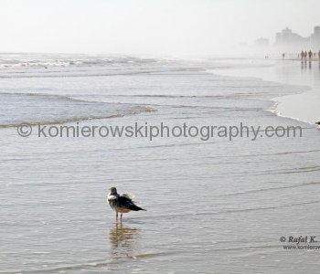 Daytona Beach, Florida