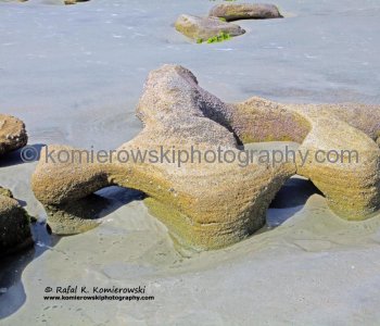Coquina outcropping on the beach at Washington Oaks State Gardens, Flagler County, Florida