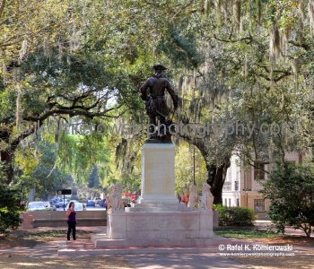The City of Savannah has a grand history as The Forest City....