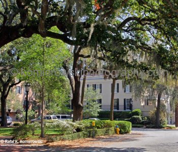Historic Savannah...