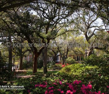 Historic Savannah...