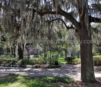 Historic Savannah...