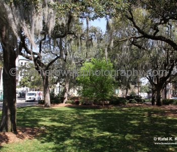 Historic Savannah...spectacular Garden City...
