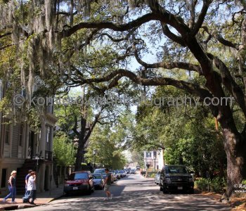 Historic Savannah...spectacular Garden City...