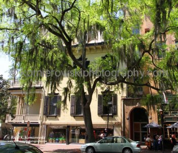 Historic Savannah...spectacular Garden City...