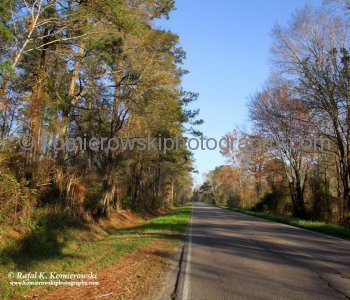 Charleston Highway - on the way to Charleston