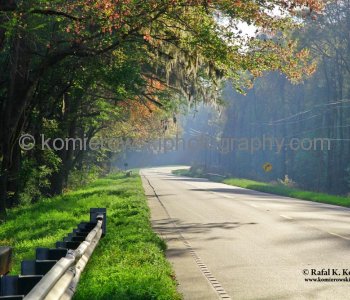 Charleston Highway - on the way to Charleston