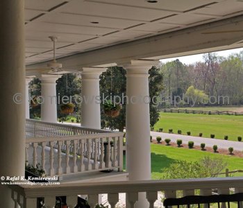 View from the front porch of the Magnolia Plantation main house....(towards SW)