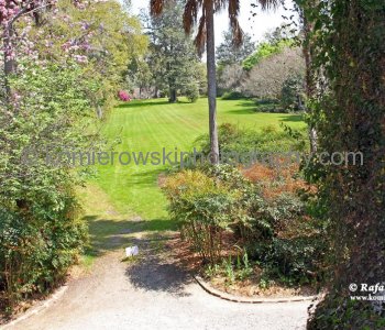 ....view from the back porch....(towards E - Ashley River))