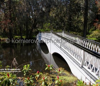 Long Bridge on Big Cypress Lake, Magnolia Plantation...