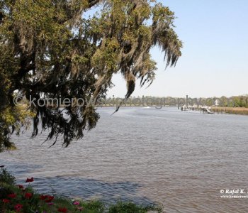 Ashley River viewed from Magnolia Plantation...