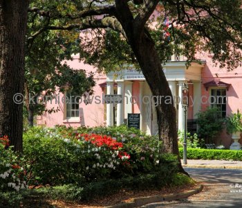 Historic Savannah...spectacular Garden City... Friday, March 18, 2001  at 1:11 PM (temperature plus 29C =  84.2 F)