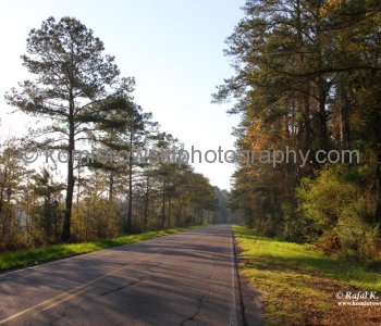 Charleston Highway (Eastbound to Charleston)  in South Carolina, USA,  Saturday, March 19,  2001  at 8:34 AM (temperature plus 14C =  57.2 F)