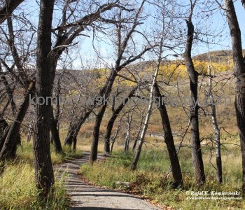Tiger Lily Loop Trail , Glenbow Ranch Provincial Park