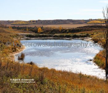 View from Tiger Lily Loop Trail , Glenbow Ranch Provincial Park