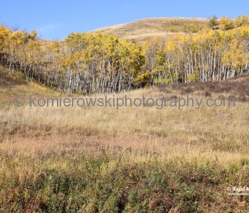View from Badger Bowl Trail,  Glenbow Ranch Provincial Park