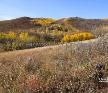 View from Badger Bowl Trail,  Glenbow Ranch Provincial Park