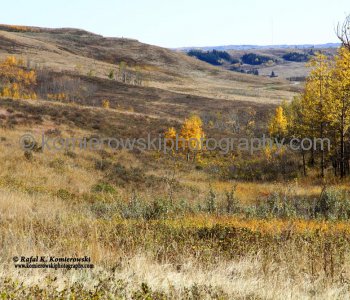View from Badger Bowl Trail,  Glenbow Ranch Provincial Park