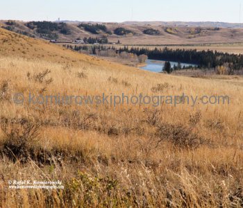 View Bow River Valley from Bowl Link Trail,  Glenbow Ranch Provincial Park
