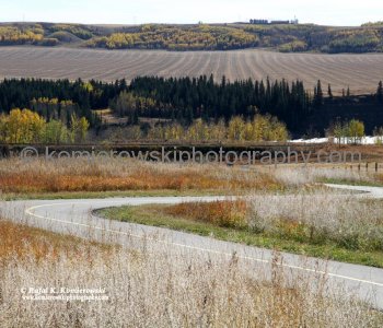Bowbend Trail (bicycle path)  from Bowl Link Trail,  Glenbow Ranch Provincial Park