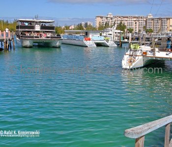 Wed.,  November 9 , 2011 – Day 13,   Lucaya, Grand Bahamas