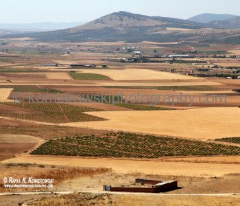 View from windmills site in Consuegra