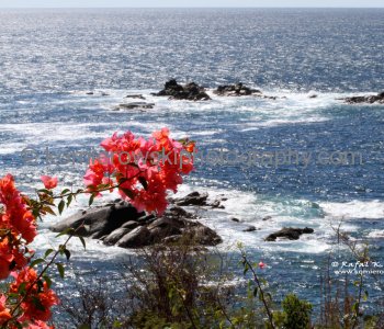Spectacular views are from every point at Las Brisas