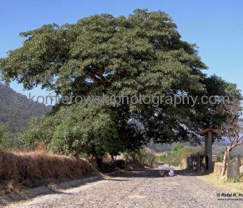 Do you see working man in the middle of the road?  Country Road in Sierra Madre Occidental, Jalisco, Mexico