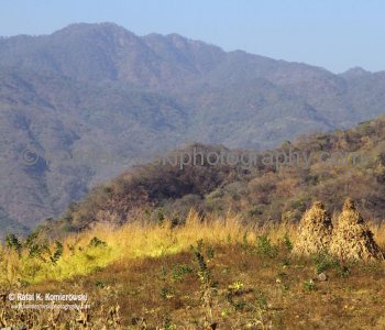 The Sierra Madre Occidental mountains dotted with farming and ranching villages....