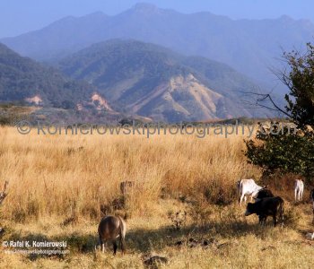 The Sierra Madre Occidental mountains dotted with farming and ranching villages....