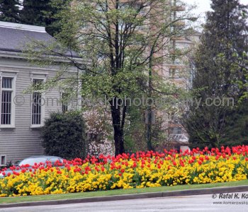 Rain, rain, rain.....you can golf and ski on the same day during the spring in Vancouver, with precipitation falling as snow at higher elevation...