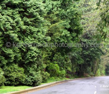 Stanley Park, Vancouver, BC,