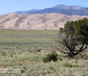 View of the Great Sand Dunes National Park  from the distance over 10 miles (16 km ) from Alamosa Blanca Wildlife Habitat Area