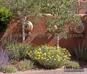 Traditional New Mexican homes today are built of adobe -- sun dried clay bricks mixed with grasses for strength, mortared with simple mud, and then covered with additional protective layers of mud