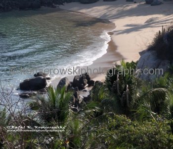 Playa Secreta at Las Brisas