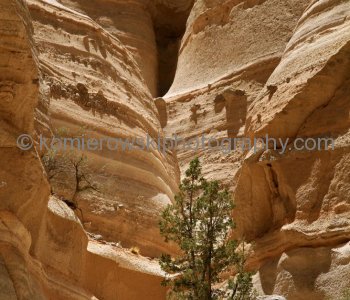 Kasha-Katuwe Tent Rocks National Monument, New Mexico, USA