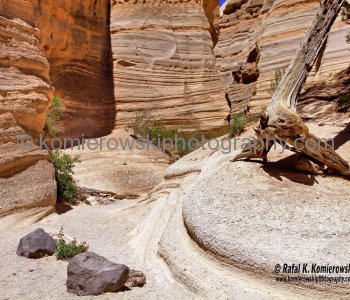 Kasha-Katuwe Tent Rocks National Monument, New Mexico, USA