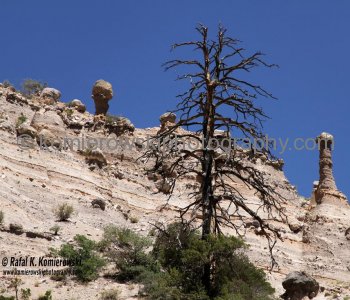Kasha-Katuwe Tent Rocks National Monument, New Mexico, USA