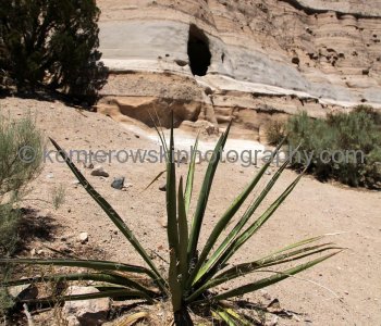 Kasha-Katuwe Tent Rocks National Monument, New Mexico, USA