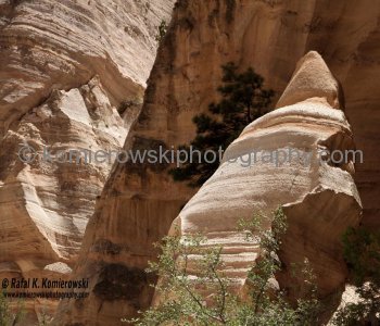 Kasha-Katuwe Tent Rocks National Monument, New Mexico, USA