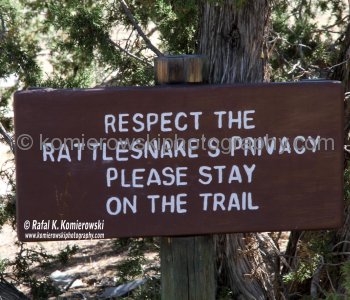 Park Ranger performing every morning Rattlesnake Round-up Tour...Gran Quivira, New Mexico