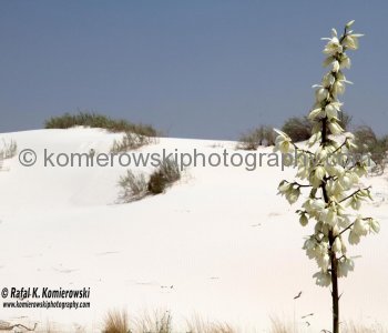 White Sands National Monument, New Mexico