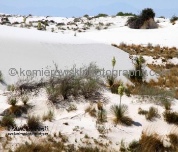White Sands National Monument, New Mexico