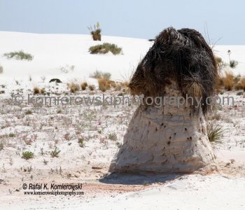 White Sands National Monument, New Mexico