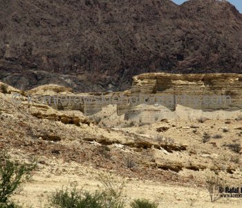 Big Bend NP is a place that merges natural environments, from desert to mountains